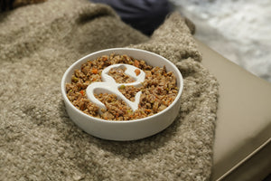 Tuanty slow feeder bowl with fresh dog food - promoting healthy digestion and slow eating