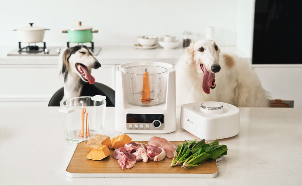 fresh food for dogs