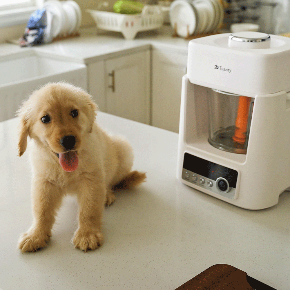 dog fresh food maker