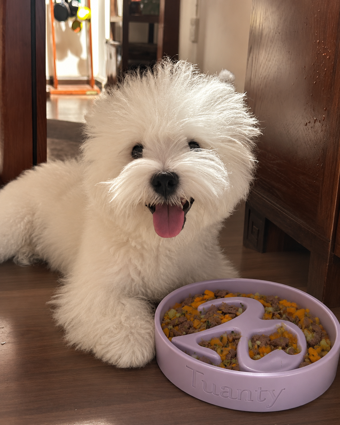 How to Make Nutritionally Complete Homemade Dog Food