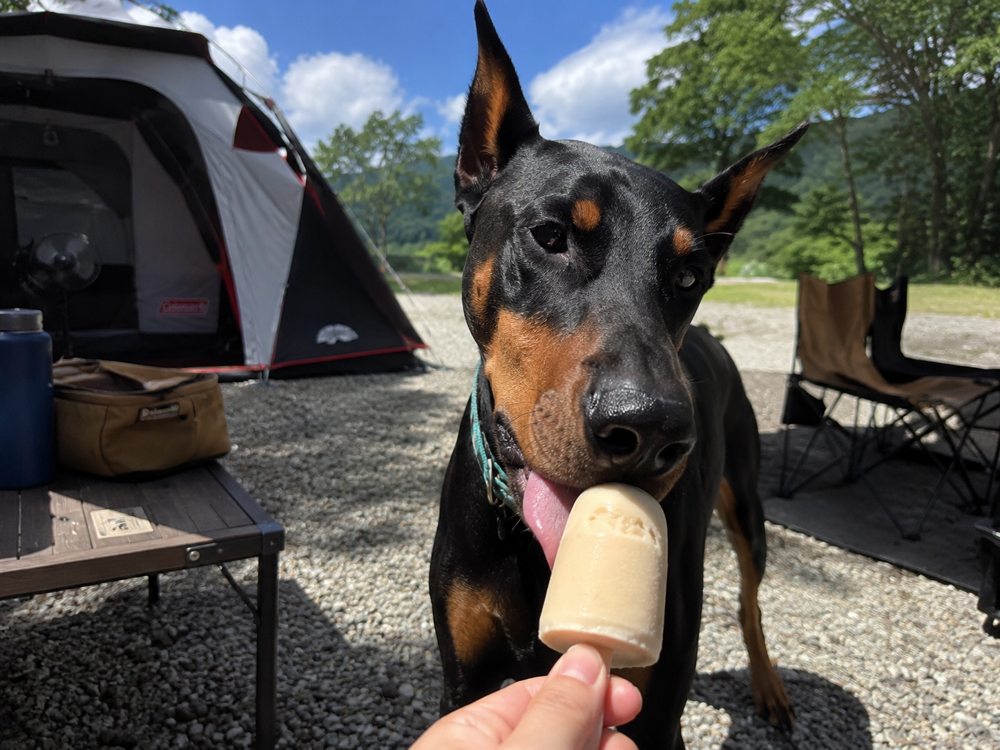 Dog Ice Cream Recipe: Banana Peanut Butter Frozen Treats