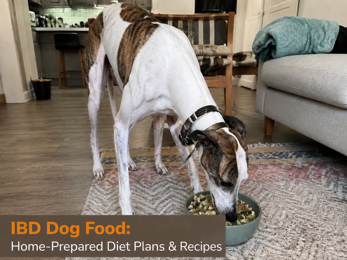 IBD dog food