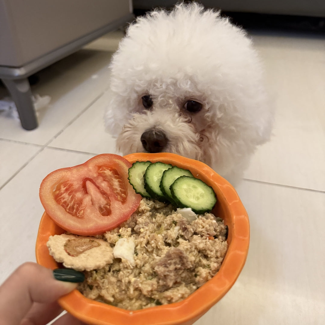 Stop Guessing Your Dog’s Diet: A Smarter, Healthier Way to Cook at Home