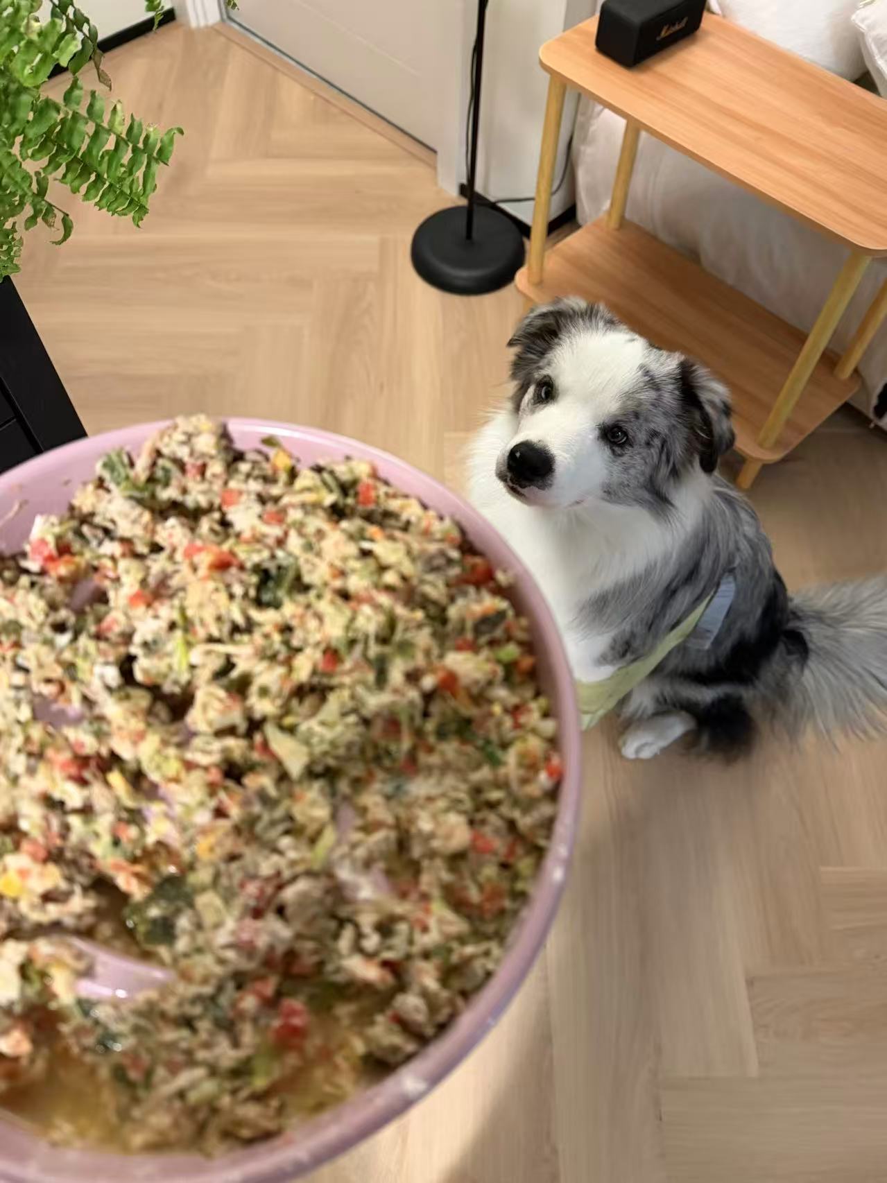 How to Make Balanced Homemade Dog Food: Complete Guide
