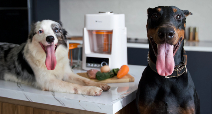 Fabricant d'aliments pour animaux Tuanty