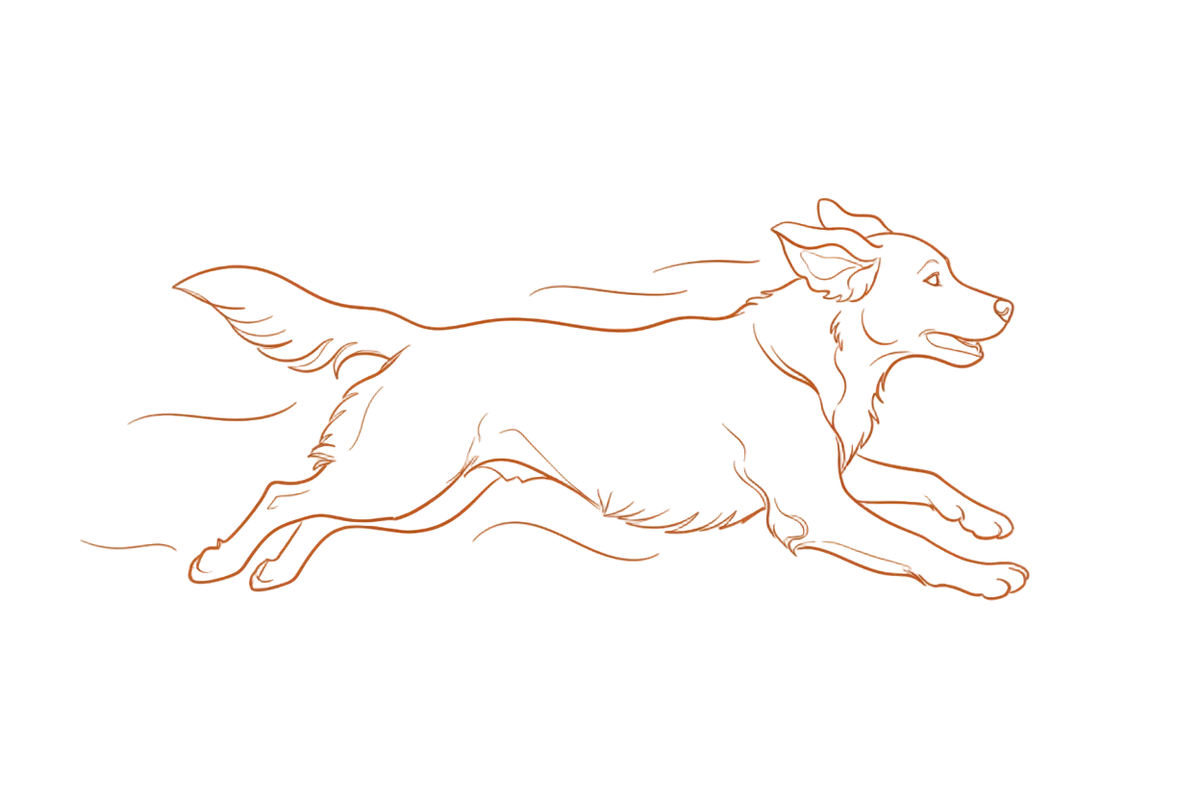 生成一个线条简笔画，暗橙色，一只金毛狗狗在奔跑