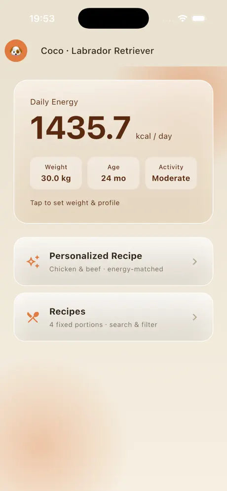 Accueil de Tuanty Recipe avec un profil animal, un objectif énergétique quotidien et des outils de recettes personnalisées
